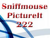 play Pictureit 222