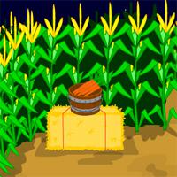 play Mousecity Escape Crazy Corn Maze