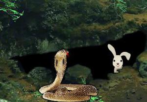 play Fun Escape 019