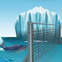 play Blue-Whale-Rescue-Games4Escape