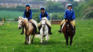 play Training Your Pony