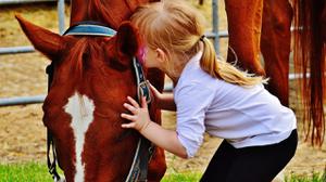 play Buying New Horse