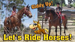 play Pony And Horse Giddy Up