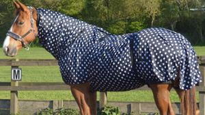 play Horse Blankets