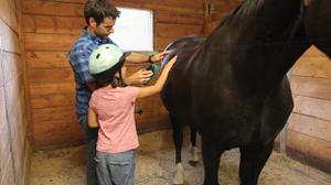 play Caring For Horses