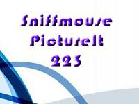 play Pictureit 223