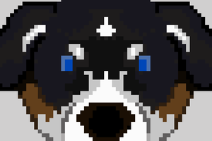 play Take The Bone