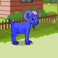 play Flying-Carpet-Escape-Zoozoogames