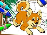 play Color Me Pets 2