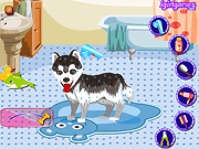 play My Cute Dog Bathing