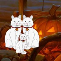 Halloween White Cat Escape