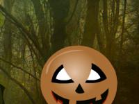 play Halloween Fun Escape 004