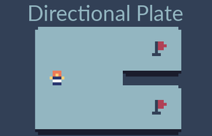 play Directional Plate