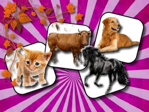 play Domestic Animal Memory Challenge