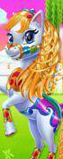 Fairy Pony Horse Mane Braiding Salon