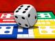 play Ludo Online