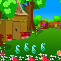 play Escape Nature Forest