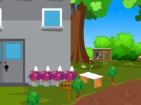 play Escape Nature Forest