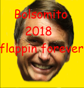 play Bolsomito Flappin Forever 2018