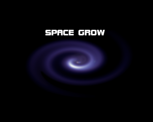 play Space Grow