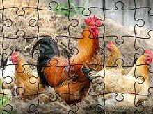 Jigsaw Puzzle Domesticated Animals