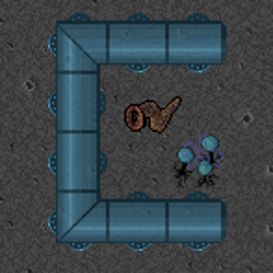 play Colony