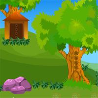 play Avmgames Escape Forest House