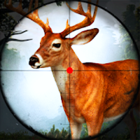 play Deer Hunter Training Camp