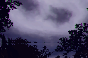 play Into The Woods