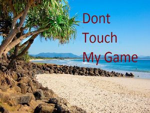 Dont Touch My Game