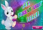 play Precious Rabbit Rescue