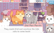 play Wholesome Cats