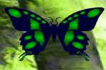 play Green Autumn Forest Escape