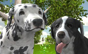 play Dog Simulator 3D