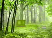 play Green Autumn Forest Escape