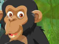 play Chimpanzees Escape
