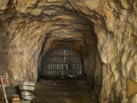 play Can You Escape Bear Cave