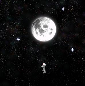 play Star Husky