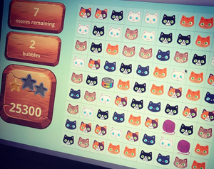 play Cat Wrangler