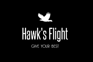 play Hawk'S Flight
