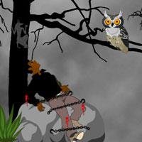 play Escape-Reporter-From-Devil-Forest