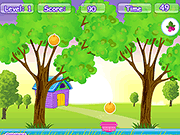 play Fruits Collection