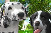 play Dog Simulator 3D