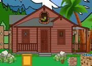 play Bird Rescue From Cage