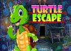 play Turtle Escape