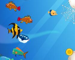 play Try Fishing