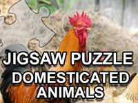 Jigsaw Puzzle Domesticated Animals