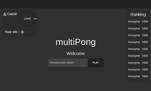 play Multipong