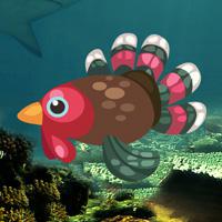 Turkey Fish Escape