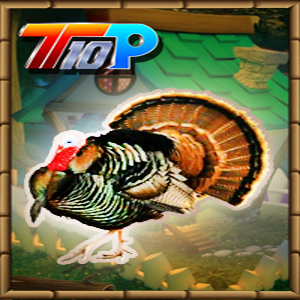 play Thanksgiving Release The Turkey